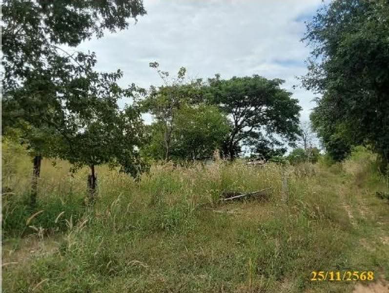 ที่ดินเปล่า, หนองบัวลำภู, หนองบัว, เมืองหนองบัวลำภู, หนองบัวลำภู, 32,500 ตร.ม., Land ขาย, โดย ภทรชล , 500542351 - DDproperty.com