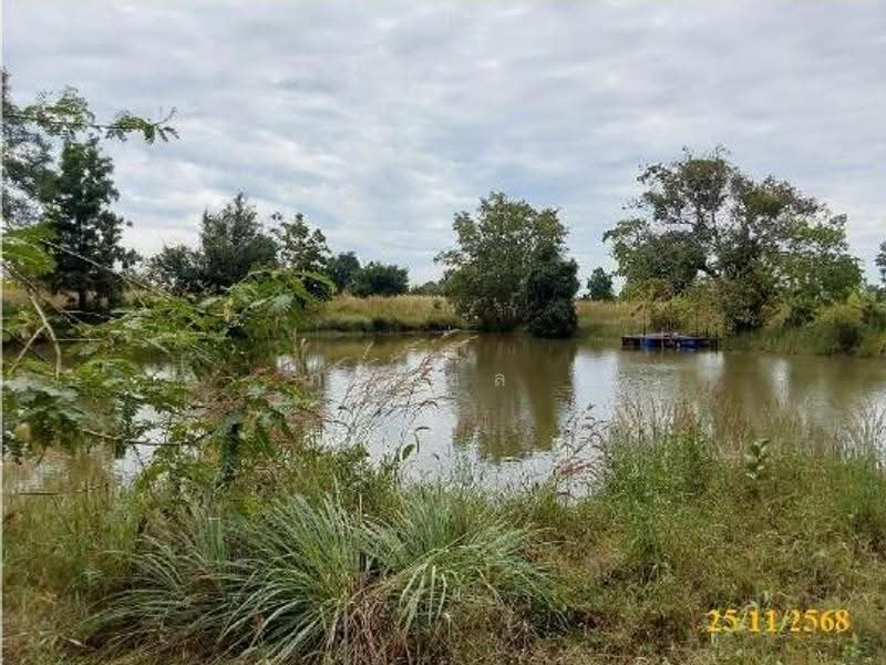 ที่ดินเปล่า, หนองบัวลำภู, หนองบัว, เมืองหนองบัวลำภู, หนองบัวลำภู, 32,500 ตร.ม., Land ขาย, โดย ภทรชล , 500542351 - DDproperty.com