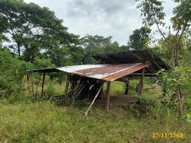 ที่ดินเปล่า, หนองบัวลำภู, หนองบัว, เมืองหนองบัวลำภู, หนองบัวลำภู, 32,500 ตร.ม., Land ขาย, โดย ภทรชล , 500542351 - DDproperty.com