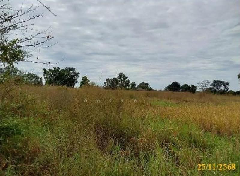 ที่ดินเปล่า, หนองบัวลำภู, หนองบัว, เมืองหนองบัวลำภู, หนองบัวลำภู, 32,500 ตร.ม., Land ขาย, โดย ภทรชล , 500542351 - DDproperty.com