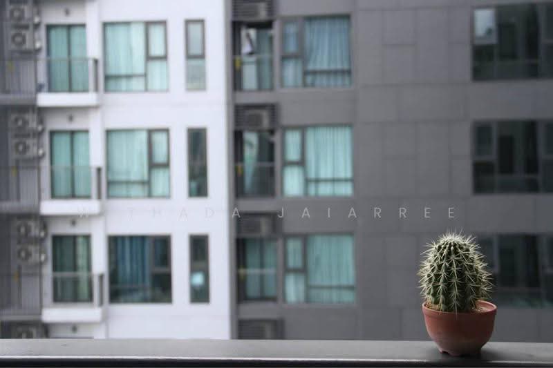 Rhythm Sukhumvit 36-38, Bangkok, 55 Soi Sukhumvit 36, Sukhumvit Road, Phra Kanong, Khlong Toei, Bangkok, 2 Bedrooms, 56 sqm, Condo For Sale, by Withada Jaiarree, 500542376 - DDproperty.com