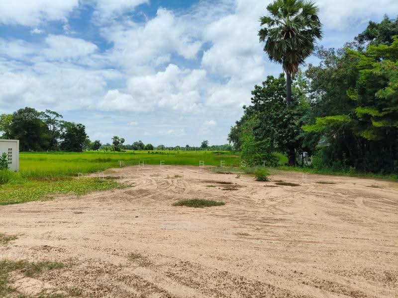 ที่ดินประโคนชัย บุรีรัมย์, Buri Ram, Prakhon Chai, Buri Ram, , 2,128 sqm, Land For Sale, by The Best Property ยุ, 500542409 - DDproperty.com