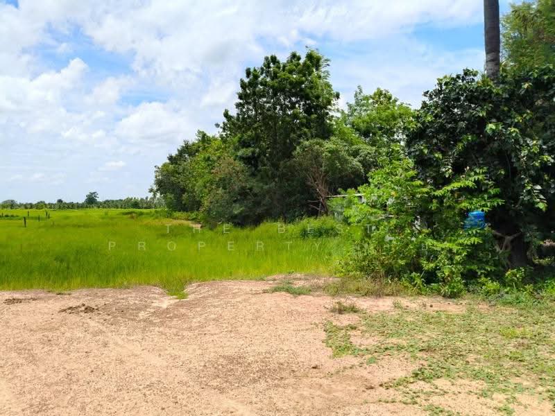 ที่ดินประโคนชัย บุรีรัมย์, บุรีรัมย์, ประโคนชัย, บุรีรัมย์, 2,128 ตร.ม., ที่ดิน ขาย, โดย The Best Property ยุ, 500542409 - DDproperty.com