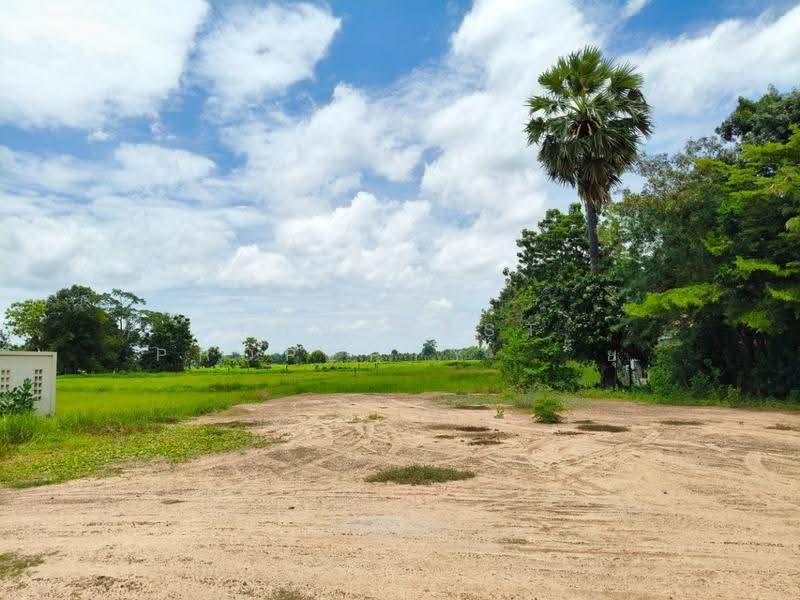 ที่ดินประโคนชัย บุรีรัมย์, Buri Ram, Prakhon Chai, Buri Ram, , 2,128 sqm, Land For Sale, by The Best Property ยุ, 500542409 - DDproperty.com