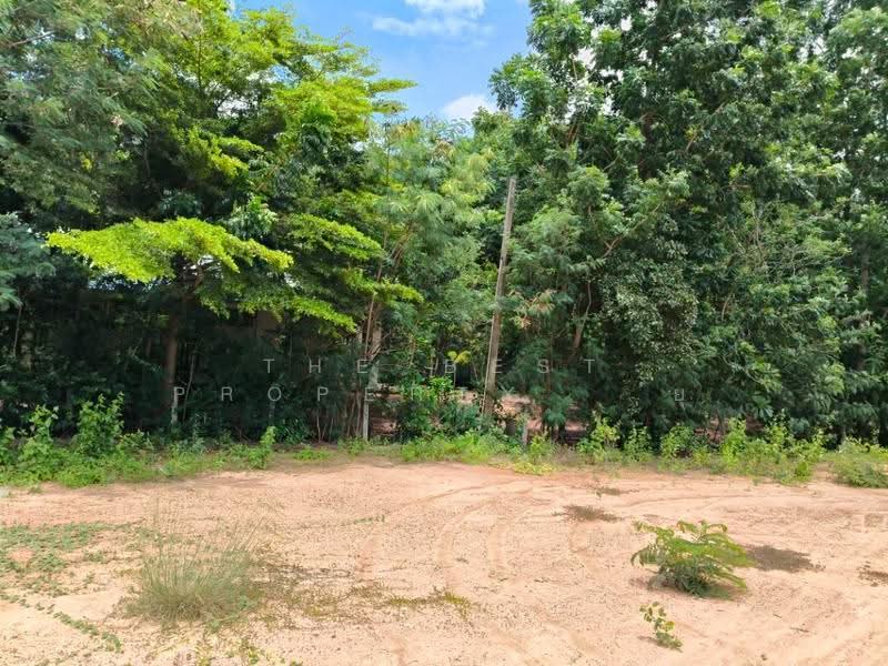 ที่ดินประโคนชัย บุรีรัมย์, บุรีรัมย์, ประโคนชัย, บุรีรัมย์, 2,128 ตร.ม., ที่ดิน ขาย, โดย The Best Property ยุ, 500542409 - DDproperty.com