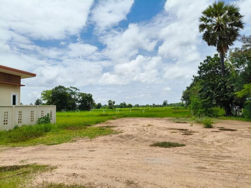 ที่ดินประโคนชัย บุรีรัมย์, บุรีรัมย์, ประโคนชัย, บุรีรัมย์, 2,128 ตร.ม., ที่ดิน ขาย, โดย The Best Property ยุ, 500542409 - DDproperty.com
