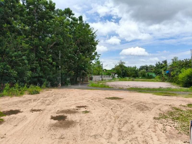 ที่ดินประโคนชัย บุรีรัมย์, Buri Ram, Prakhon Chai, Buri Ram, , 2,128 sqm, Land For Sale, by The Best Property ยุ, 500542409 - DDproperty.com