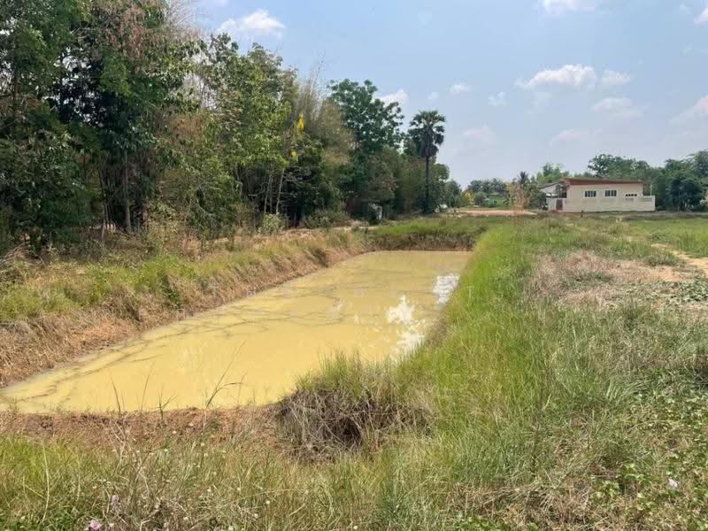 ที่ดินประโคนชัย บุรีรัมย์, Buri Ram, Prakhon Chai, Buri Ram, , 2,128 sqm, Land For Sale, by The Best Property ยุ, 500542409 - DDproperty.com