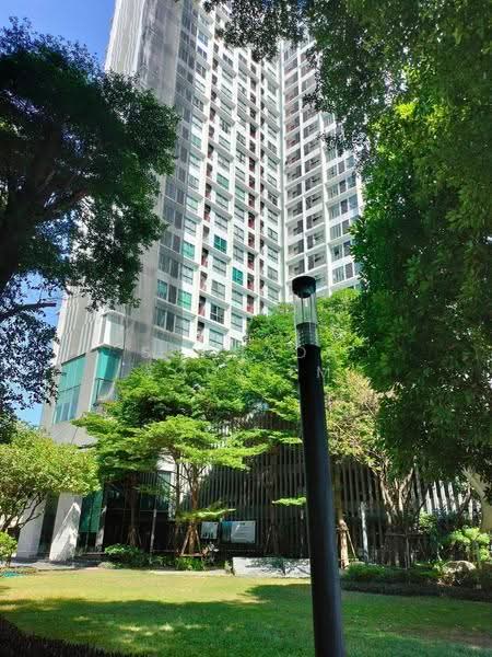 IDEO MOBI Sukhumvit 81 : ไอดีโอ โมบิ สุขุมวิท 81, กรุงเทพ, 2097 ถนนสุขุมวิท แขวงบางจาก เขตพระโขนง กรุงเทพมหานคร, บางจาก, พระโขนง, กรุงเทพ, 30 ตร.ม., Condo ขาย, โดย Suchada Yodyiem, 500542515 - DDproperty.com