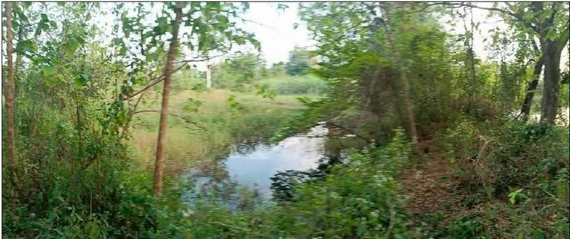 หนองบัว, Nong Bua Lam Phu, Nong Bua, Muang Nong Bua Lam Phu, Nong Bua Lam Phu, , 1,624 sqm, Business For Sale, by ภทรชล , 500542570 - DDproperty.com