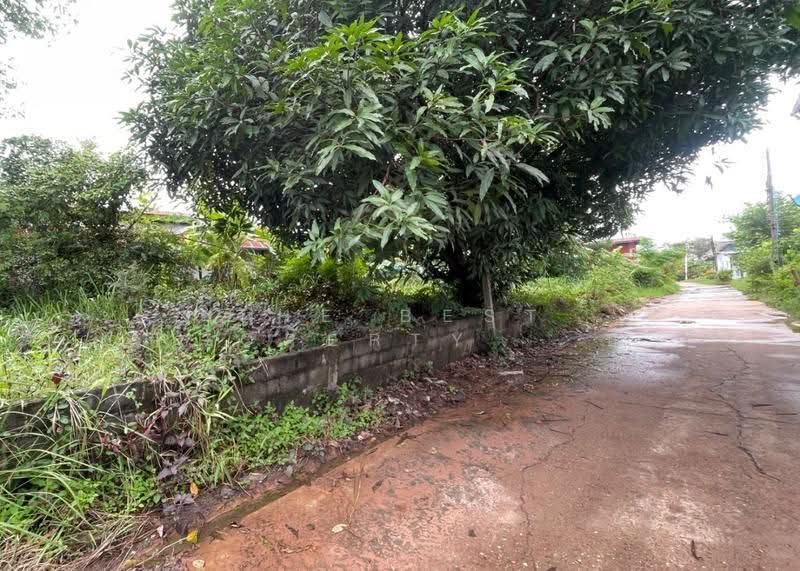 ที่ดินบุ่ง อำนาจเจริญ, Amnat Charoen, Bung, Muang Amnat Charoen, Amnat Charoen, , 353 sqm, Land For Sale, by The Best Property บี, 500542719 - DDproperty.com