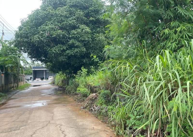 ที่ดินบุ่ง อำนาจเจริญ, อำนาจเจริญ, บุ่ง, เมืองอำนาจเจริญ, อำนาจเจริญ, 353 ตร.ม., ที่ดิน ขาย, โดย The Best Property บี, 500542719 - DDproperty.com