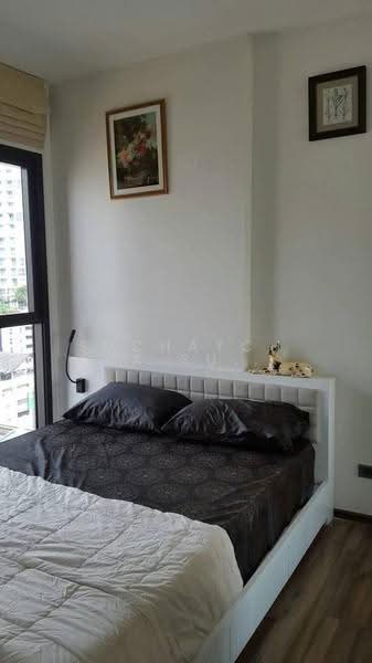 Wyne Sukhumvit, Bangkok, 1120 Sukhumvit Road, Phra Kanong, Khlong Toei, Bangkok, 1 Bedroom, 30 sqm, Condo For Rent, by Suchatchaya Supawachiranant, 500542753 - DDproperty.com