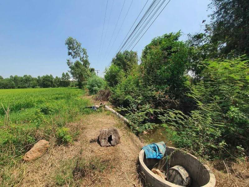 land for sell, Phra Nakhon Si Ayutthaya, Tao Lao, Bang Sai, Phra Nakhon Si Ayutthaya, , 14,212 sqm, Land For Sale, by คุณหนุ่ย, 500542776 - DDproperty.com