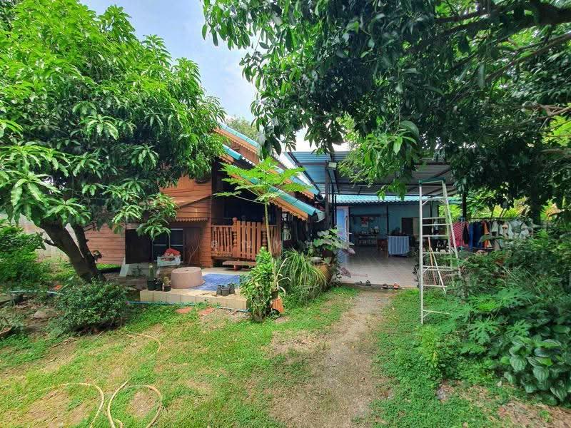ที่ดินอ่างทอง พร้อมบ้านและโรงงาน 1ไร่ 69 ตร.ว. 5.5 ล้าน, อ่างทอง, นรสิงห์, ป่าโมก, อ่างทอง, 1,876 ตร.ม., ที่ดิน ขาย, โดย คุณหนุ่ย, 500542799 - DDproperty.com