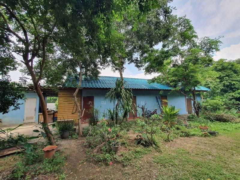 ที่ดินอ่างทอง พร้อมบ้านและโรงงาน 1ไร่ 69 ตร.ว. 5.5 ล้าน, อ่างทอง, นรสิงห์, ป่าโมก, อ่างทอง, 1,876 ตร.ม., ที่ดิน ขาย, โดย คุณหนุ่ย, 500542799 - DDproperty.com