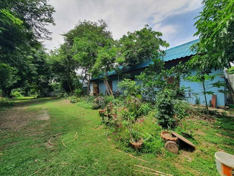 land for sell, Ang Thong, Norasing, Pa Mok, Ang Thong, , 1,876 sqm, Land For Sale, by คุณหนุ่ย, 500542799 - DDproperty.com