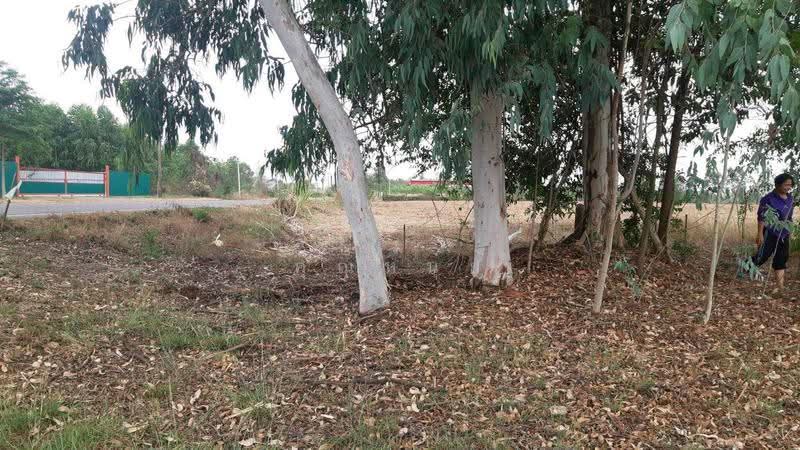 land for sell, Sa Kaeo, Sra Khuan, Muang Sa Kaeo, Sa Kaeo, , 15,768 sqm, Land For Sale, by คุณหนุ่ย, 500542819 - DDproperty.com