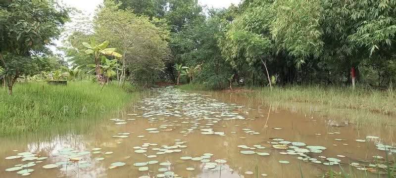 1-BR House, Bangkok, Prawet, Bangkok, 1 Bedroom, 47 sqm, Single Detached House For Sale, by Rasita Maneelam, 500542940 - DDproperty.com