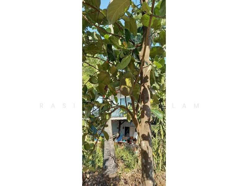 บ้าน 1-ห้องนอน, กรุงเทพ, ประเวศ, กรุงเทพ, 47 ตร.ม., บ้านเดี่ยว ขาย, โดย Rasita Maneelam, 500542940 - DDproperty.com