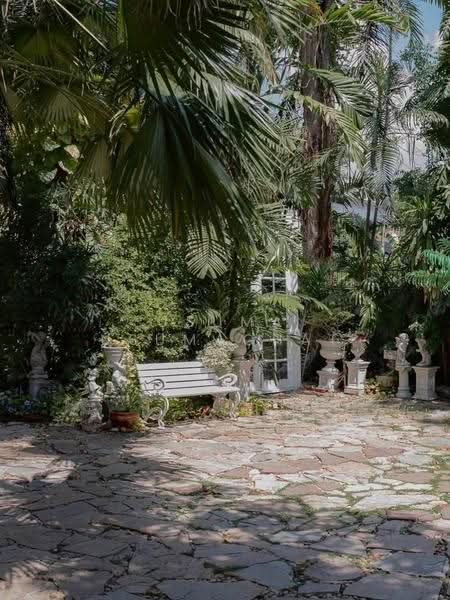 Glasshouse Garden space in Sukhumvit 101 Only 550 meter to BTS, กรุงเทพ, บางจาก, พระโขนง, กรุงเทพ, 532 ตร.ม., บ้านเดี่ยว ให้เช่า, โดย Usuma Usumachat, 500543020 - DDproperty.com
