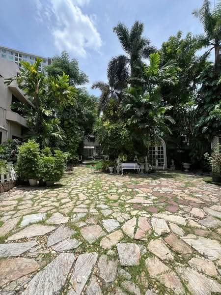 Glasshouse Garden space in Sukhumvit 101 Only 550 meter to BTS, Bangkok, Bang Chak, Phra Khanong, Bangkok, 1 Bedroom, 532 sqm, Single Detached House For Rent, by Usuma Usumachat, 500543020 - DDproperty.com