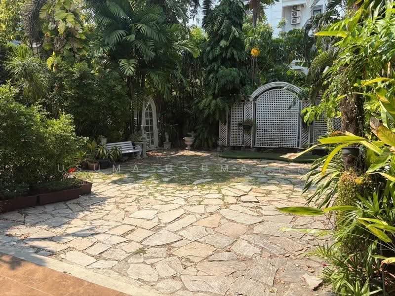 Glasshouse Garden space in Sukhumvit 101 Only 550 meter to BTS, กรุงเทพ, บางจาก, พระโขนง, กรุงเทพ, 532 ตร.ม., บ้านเดี่ยว ให้เช่า, โดย Usuma Usumachat, 500543020 - DDproperty.com