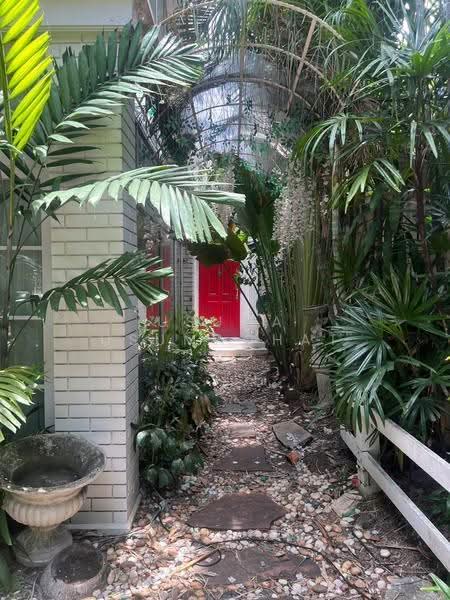 Glasshouse Garden space in Sukhumvit 101 Only 550 meter to BTS, Bangkok, Bang Chak, Phra Khanong, Bangkok, 1 Bedroom, 532 sqm, Single Detached House For Rent, by Usuma Usumachat, 500543020 - DDproperty.com