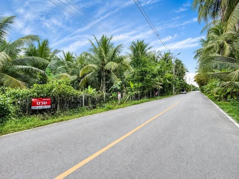 ที่ดินอัมพวา สมุทรสงคราม, สมุทรสงคราม, บางนางลี่, อัมพวา, สมุทรสงคราม, 960 ตร.ม., ที่ดิน ขาย, โดย The Best Property ดาด้า, 500543251 - DDproperty.com
