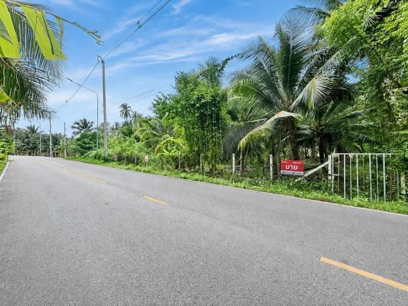 ที่ดินอัมพวา สมุทรสงคราม, สมุทรสงคราม, บางนางลี่, อัมพวา, สมุทรสงคราม, 960 ตร.ม., ที่ดิน ขาย, โดย The Best Property ดาด้า, 500543251 - DDproperty.com