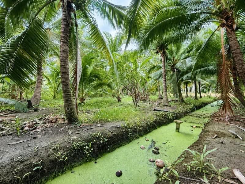 ที่ดินอัมพวา สมุทรสงคราม, Samut Songkhram, Bang Nang Li, Amphawa, Samut Songkhram, , 960 sqm, Land For Sale, by The Best Property ดาด้า, 500543251 - DDproperty.com