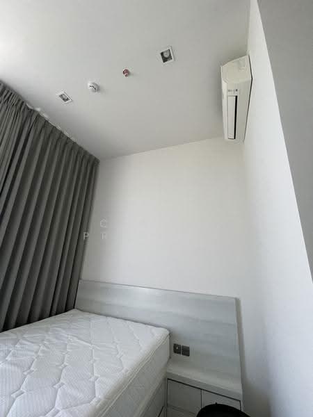 The Line Sukhumvit 101, Bangkok, 3009 Sukhumvit 101 Road, Bang Chak, Phra Khanong, Bangkok, 1 Bedroom, 33 sqm, Condo For Rent, by Connex Property, 500543266 - DDproperty.com