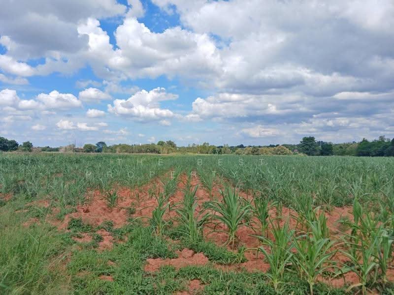 ที่ดินสุรนารี นครราชสีมา, Nakhon Ratchasima, Suranari, Muang Nakhon Ratchasima, Nakhon Ratchasima, , 14,384 sqm, Land For Sale, by The Best Property เก๋ , 500543379 - DDproperty.com
