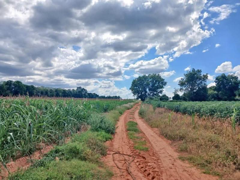 ที่ดินสุรนารี นครราชสีมา, Nakhon Ratchasima, Suranari, Muang Nakhon Ratchasima, Nakhon Ratchasima, , 14,384 sqm, Land For Sale, by The Best Property เก๋ , 500543379 - DDproperty.com