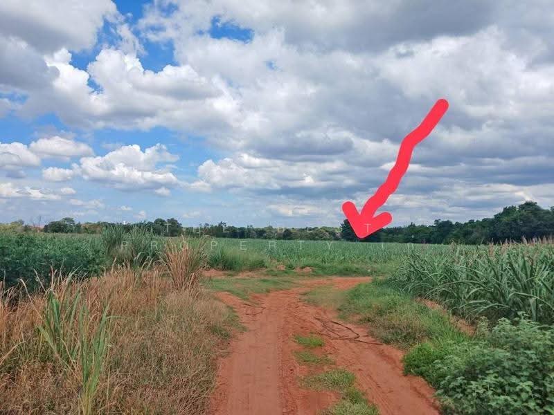 ที่ดินสุรนารี นครราชสีมา, Nakhon Ratchasima, Suranari, Muang Nakhon Ratchasima, Nakhon Ratchasima, , 14,384 sqm, Land For Sale, by The Best Property เก๋ , 500543379 - DDproperty.com