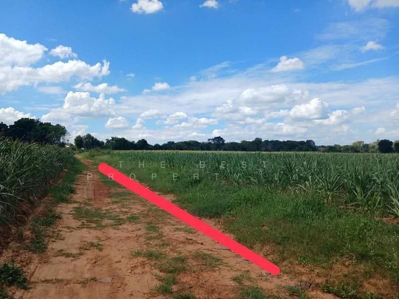 ที่ดินสุรนารี นครราชสีมา, Nakhon Ratchasima, Suranari, Muang Nakhon Ratchasima, Nakhon Ratchasima, , 14,384 sqm, Land For Sale, by The Best Property เก๋ , 500543379 - DDproperty.com