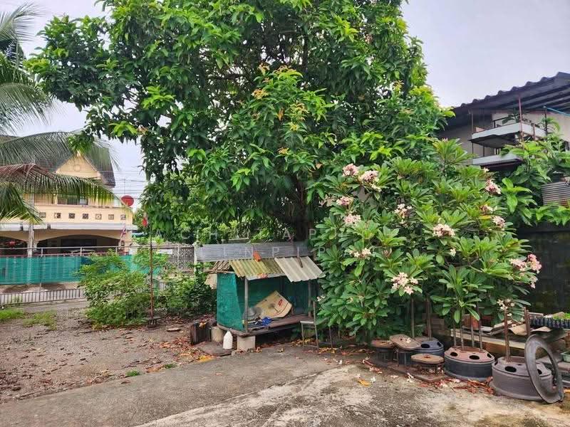 บ้าน สตูดิโอ, สุราษฎร์ธานี, มะขามเตี้ย, เมืองสุราษฎร์ธานี, สุราษฎร์ธานี, 47 ตร.ม., บ้านเดี่ยว ขาย, โดย Achitaphop Klinpipat, 500543562 - DDproperty.com