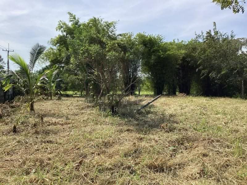 ที่ดินแก่งคอย สระบุรี, Saraburi, Cham Phak Phaeo, Kaeng Khoi, Saraburi, , 7,900 sqm, Land For Sale, by The Best Property เป้, 500543563 - DDproperty.com