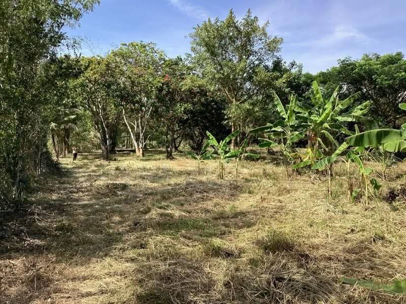 ที่ดินแก่งคอย สระบุรี, Saraburi, Cham Phak Phaeo, Kaeng Khoi, Saraburi, , 7,900 sqm, Land For Sale, by The Best Property เป้, 500543563 - DDproperty.com