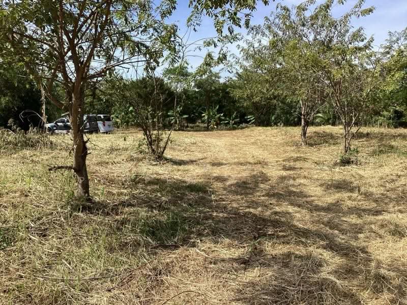 ที่ดินแก่งคอย สระบุรี, Saraburi, Cham Phak Phaeo, Kaeng Khoi, Saraburi, , 7,900 sqm, Land For Sale, by The Best Property เป้, 500543563 - DDproperty.com