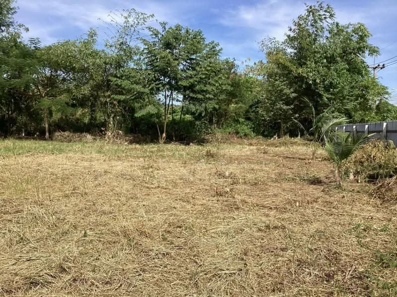 ที่ดินแก่งคอย สระบุรี, Saraburi, Cham Phak Phaeo, Kaeng Khoi, Saraburi, , 7,900 sqm, Land For Sale, by The Best Property เป้, 500543563 - DDproperty.com