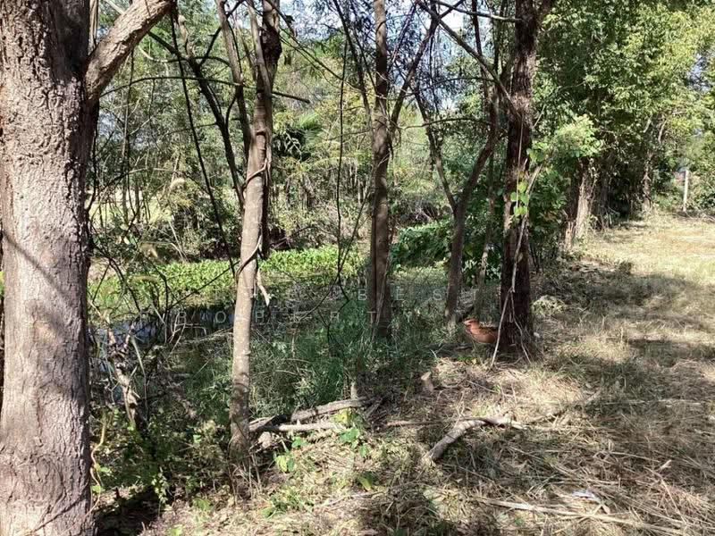 ที่ดินแก่งคอย สระบุรี, Saraburi, Cham Phak Phaeo, Kaeng Khoi, Saraburi, , 7,900 sqm, Land For Sale, by The Best Property เป้, 500543563 - DDproperty.com