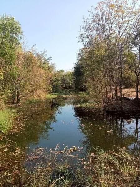 ที่ดินแก่งคอย สระบุรี, Saraburi, Cham Phak Phaeo, Kaeng Khoi, Saraburi, , 7,900 sqm, Land For Sale, by The Best Property เป้, 500543563 - DDproperty.com