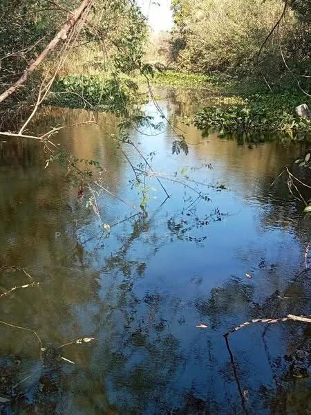 ที่ดินแก่งคอย สระบุรี, Saraburi, Cham Phak Phaeo, Kaeng Khoi, Saraburi, , 7,900 sqm, Land For Sale, by The Best Property เป้, 500543563 - DDproperty.com