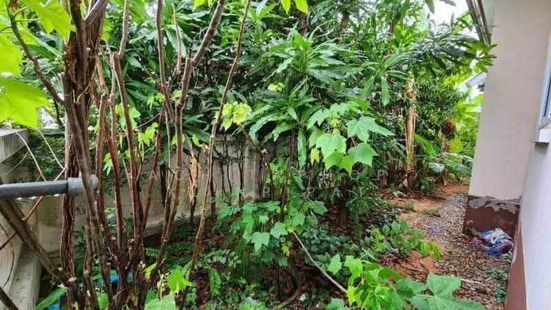 undefined, Chon Buri (Pattaya), Bang Phra, Si Racha, Chon Buri (Pattaya), 3 Bedrooms, 150 sqm, Single Detached House For Sale, by Achitaphop Klinpipat, 500543585 - DDproperty.com