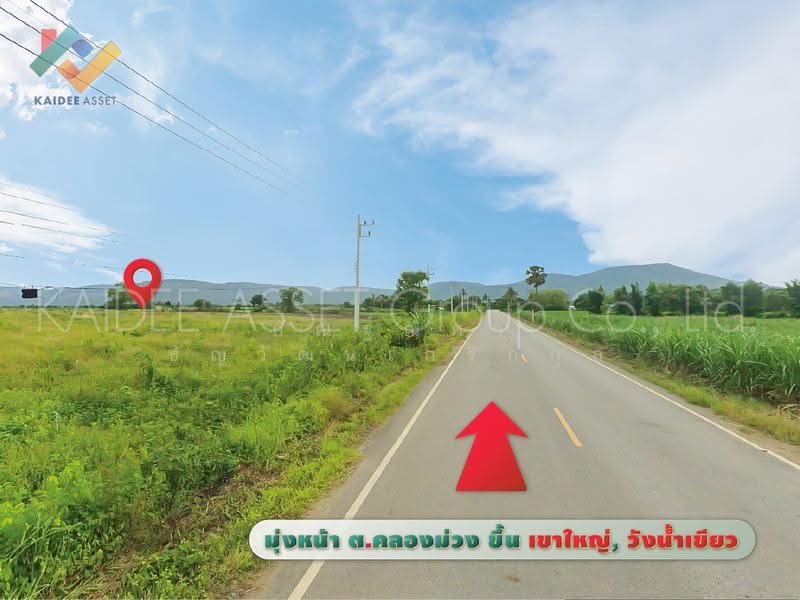 วังไทร, นครราชสีมา, วังไทร, ปากช่อง, นครราชสีมา, 4,800 ตร.ม., ที่ดิน ขาย, โดย กัณฐ์ณิศา ธัญวัฒนเกริกกุล, 500543945 - DDproperty.com