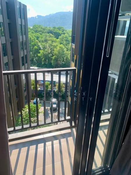 The Base Central, Phuket, Chao Fah Tawan Tok Rd, Wichit, Muang Phuket, Phuket, 1 Bedroom, 31 sqm, Condo For Rent, by Connex Property, 500543996 - DDproperty.com
