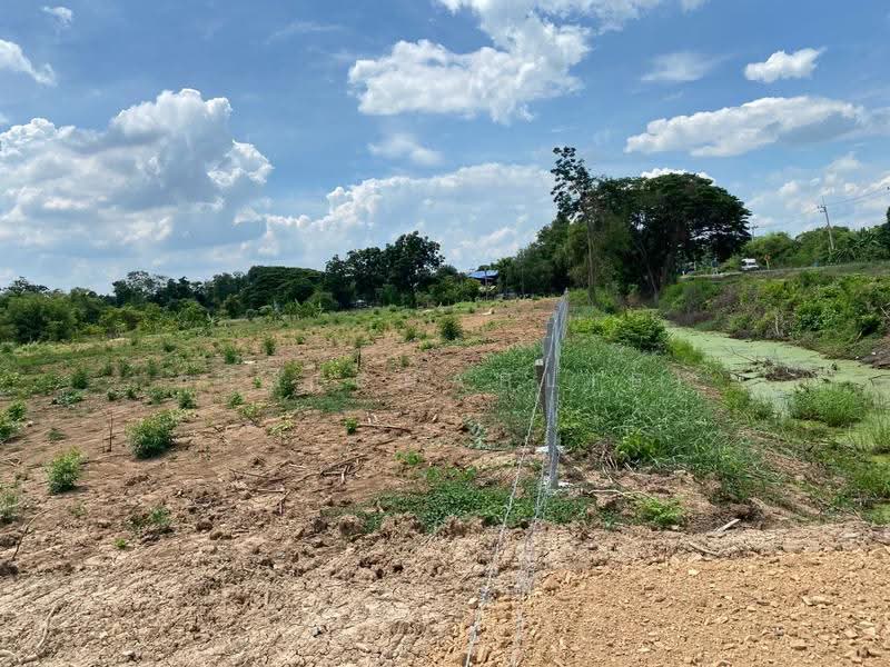หนองแค, Saraburi, Phon Thong, Nong Khae, Saraburi, , 22,416 sqm, Land For Sale, by ชาลี(Charlie), 500544035 - DDproperty.com
