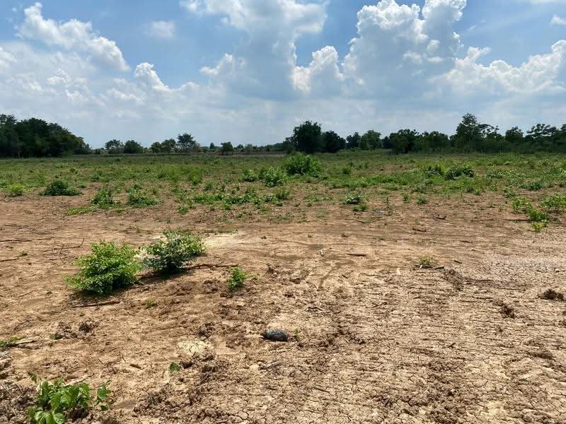 หนองแค, สระบุรี, โพนทอง, หนองแค, สระบุรี, 22,416 ตร.ม., Land ขาย, โดย ชาลี(Charlie), 500544035 - DDproperty.com