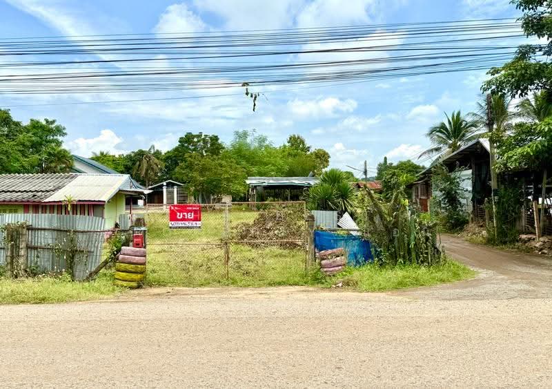 บ้านเดี่ยวพร้อมที่ดินโคกเขริญ ลพบุรี, ลพบุรี, โคกเจริญ, ลพบุรี, 100 ตร.ม., บ้านเดี่ยว ขาย, โดย The Best Property แอม , 500544121 - DDproperty.com